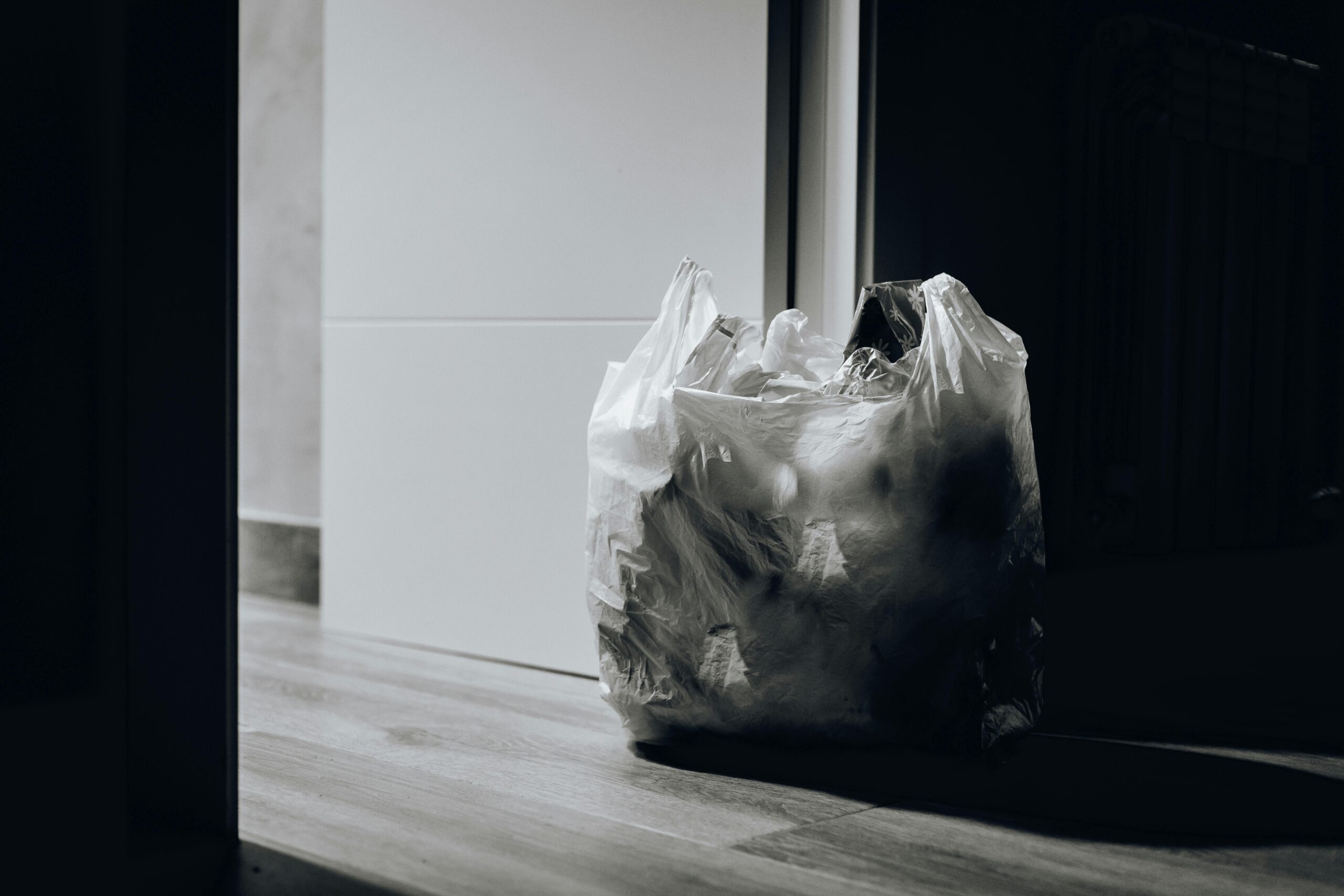 The Benefits of Same-Day Junk Removal Services